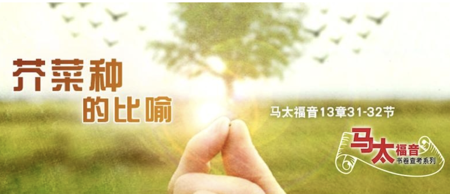 Read more about the article 2022-12-02（周五）——太16：21–28 ——十字架的道路